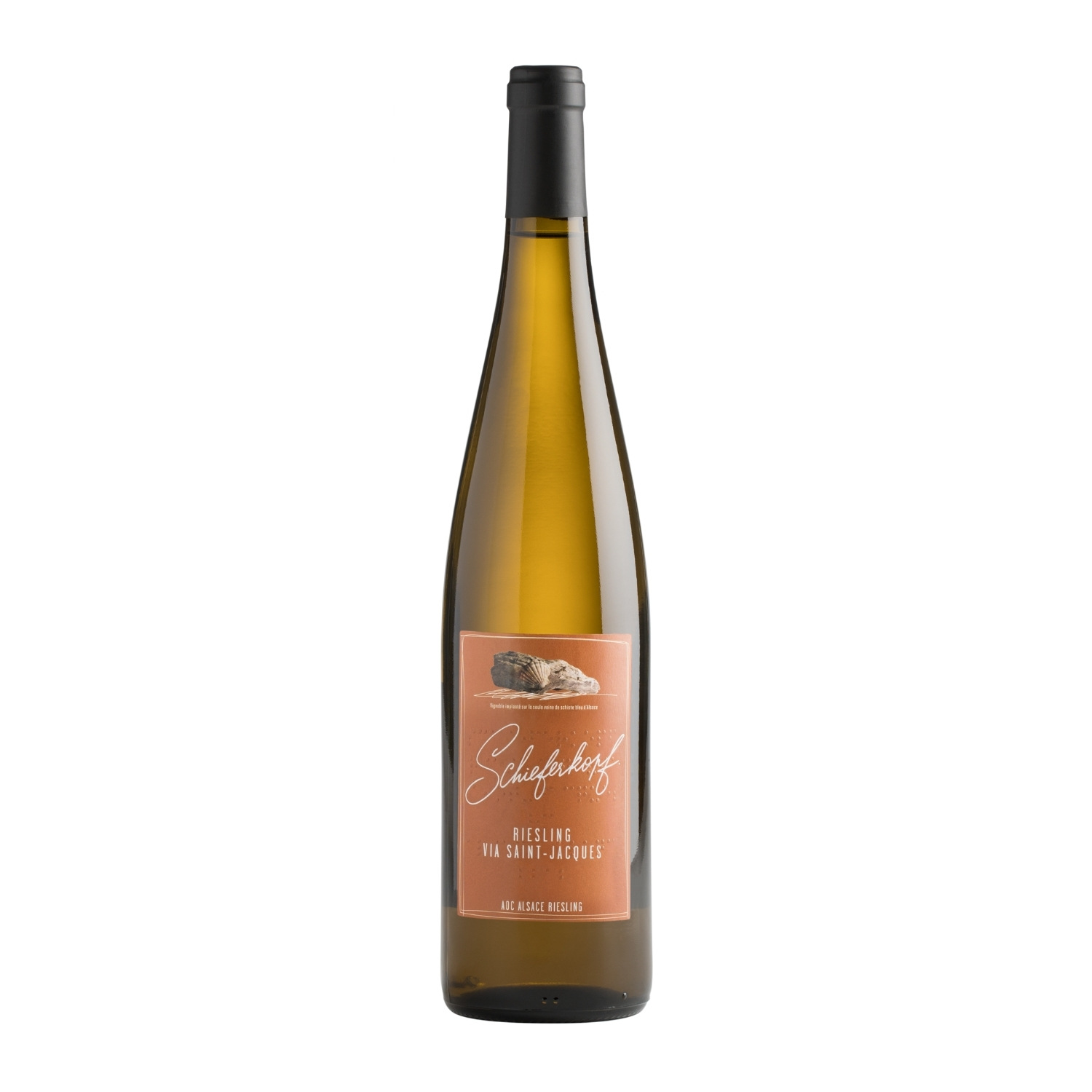 Riesling Via Saint Jacques