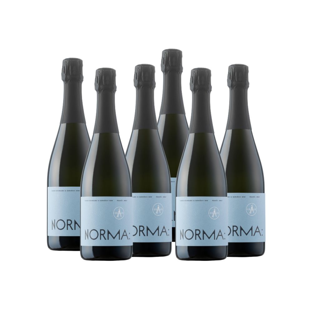 Penina brut 6x0,75l