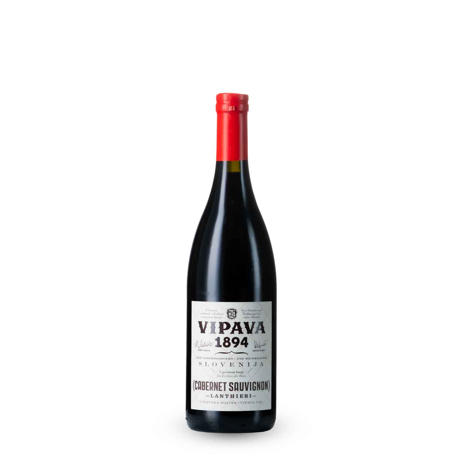 poplave x Cabernet sauvignon Lanthieri