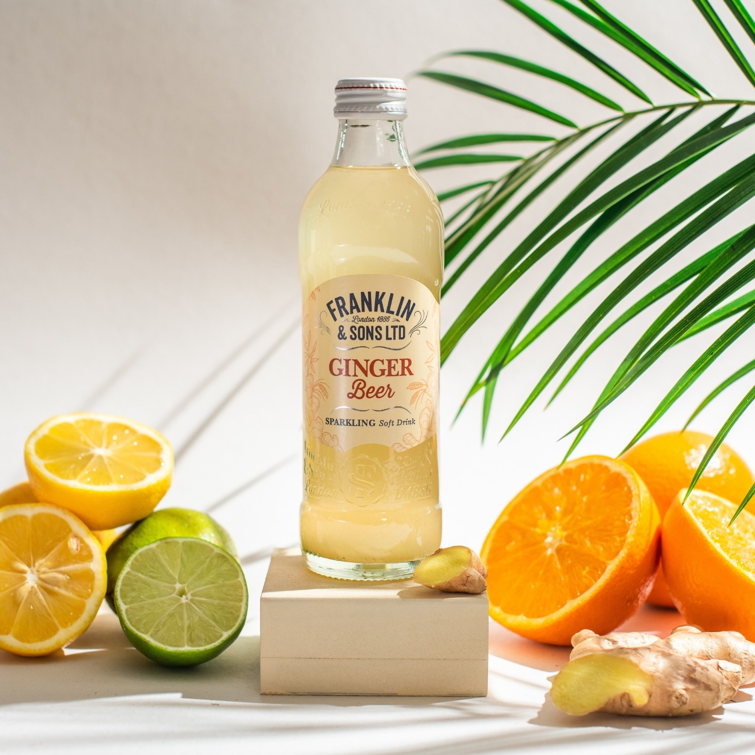 Franklin Ginger Beer 0,275L Franklin Ginger Beer 0,275L