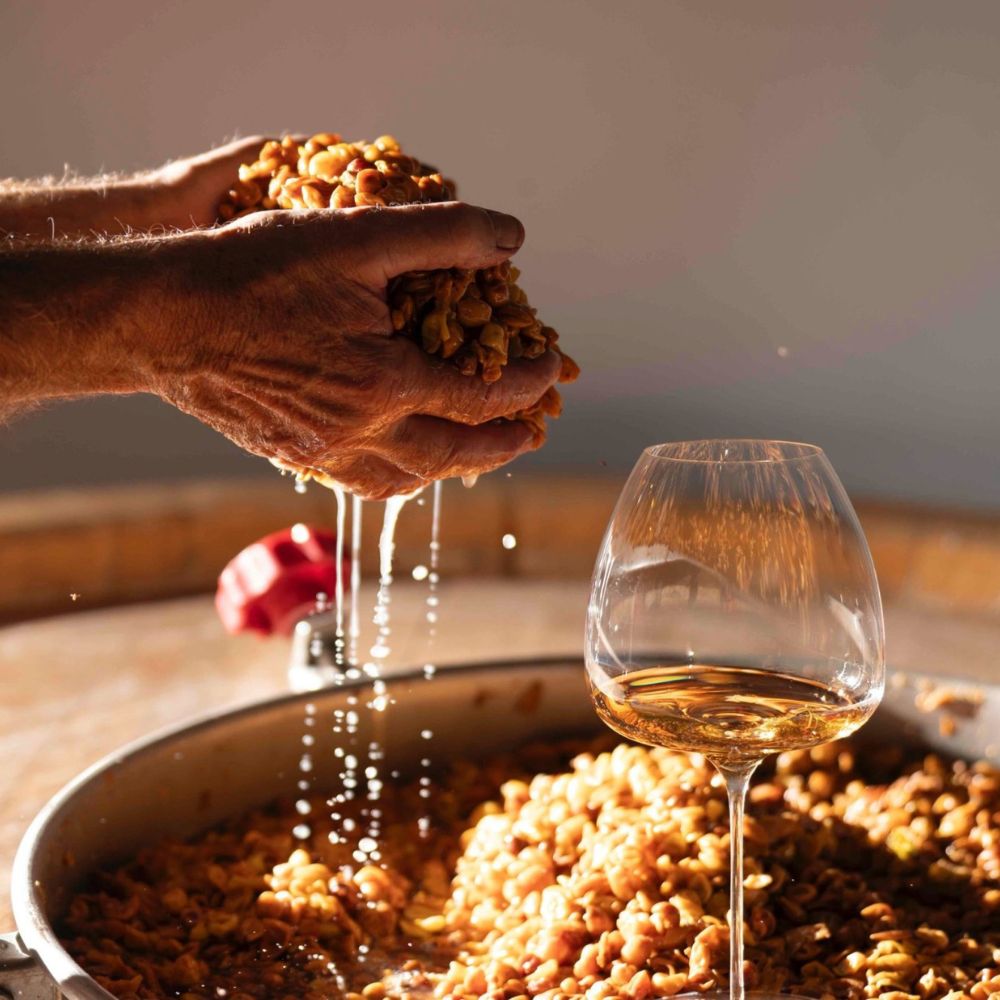 Kozarec T Made 95 Oslavia Leggerissimi