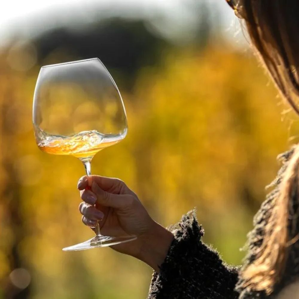 Kozarec T Made 95 Oslavia Leggerissimi