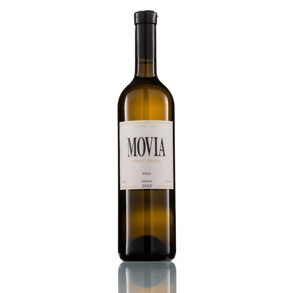 Sivi pinot