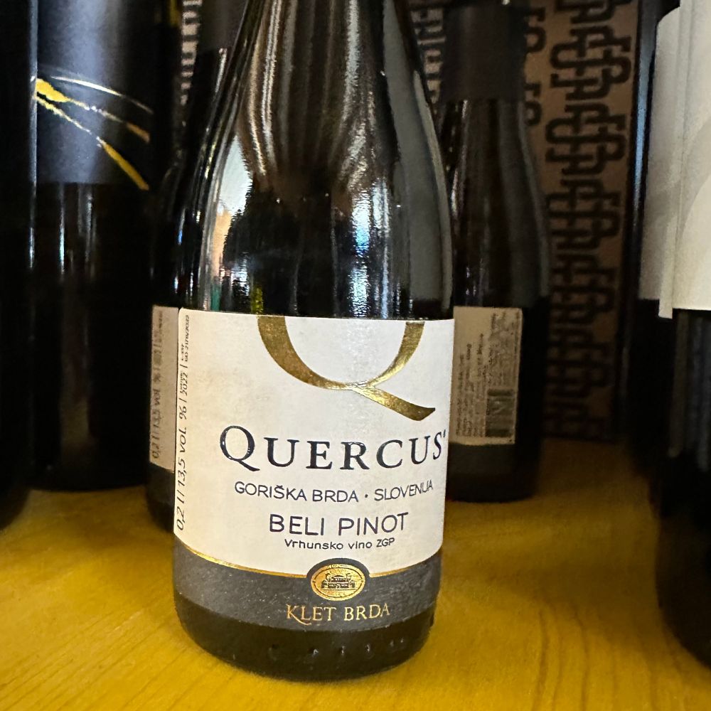 poplave x Beli pinot Quercus 0,20