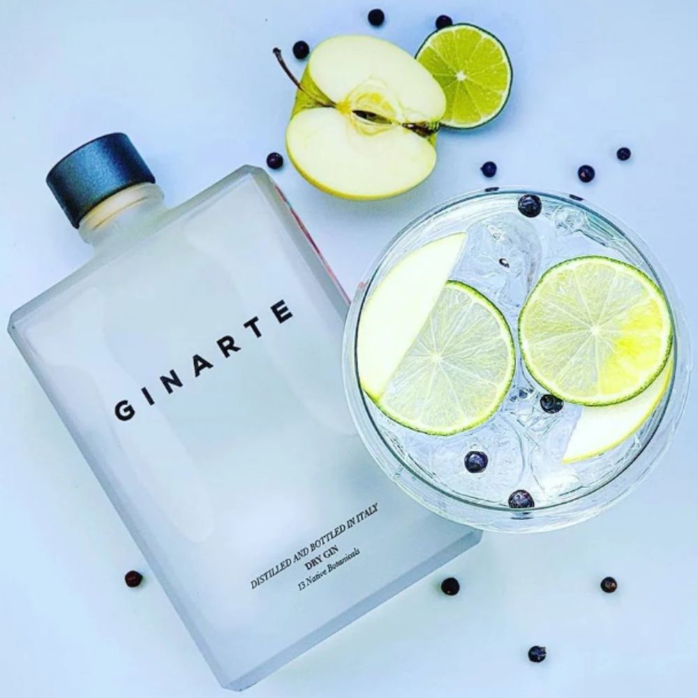 Gin GINARTE