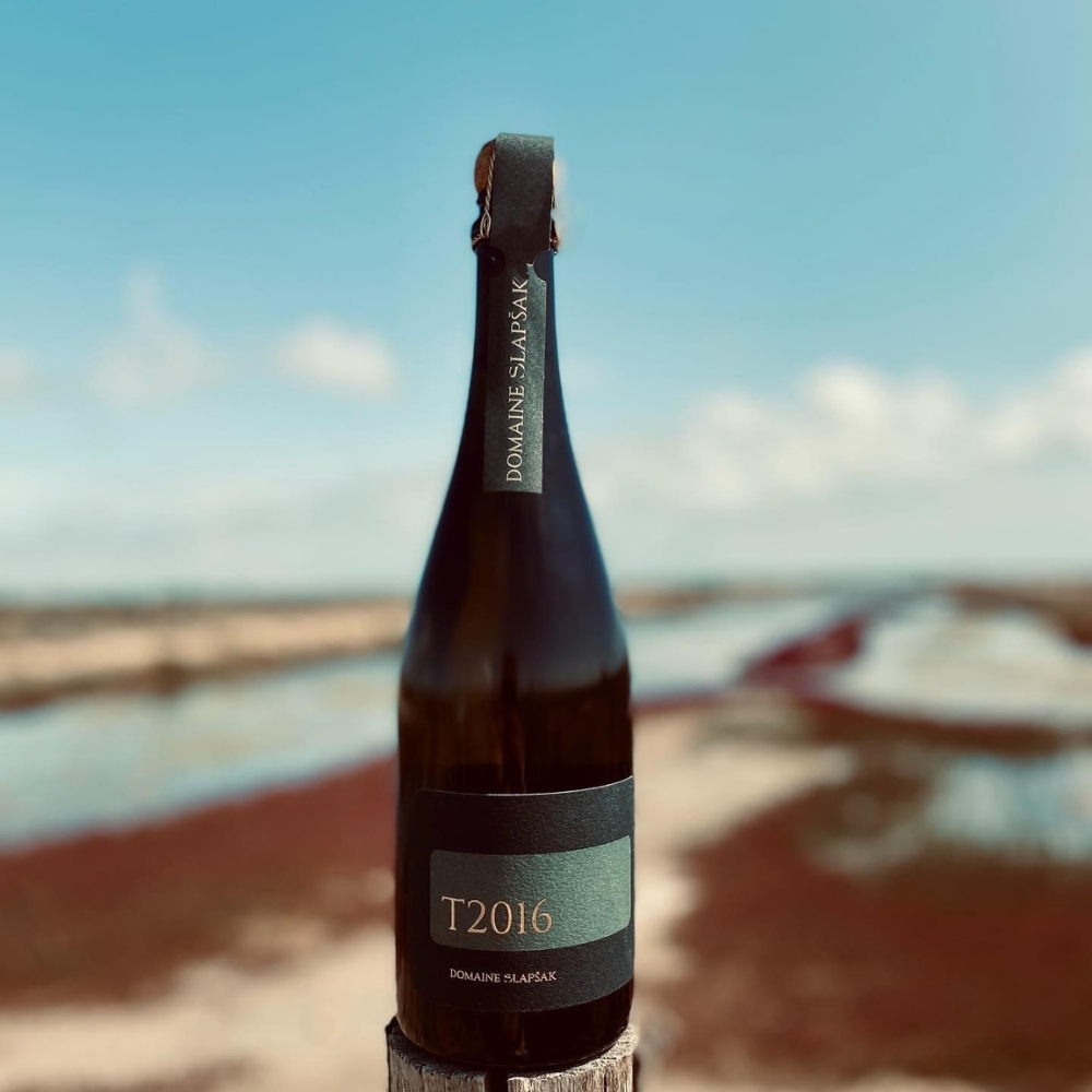 Penina Brut T2016