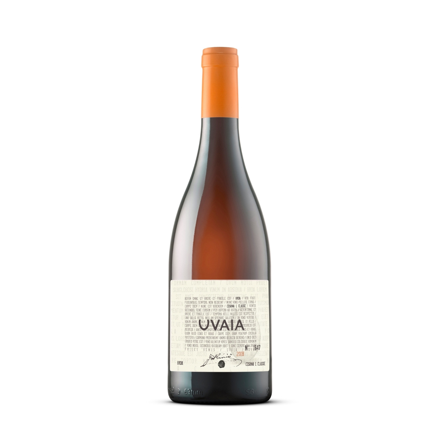 poplave x Uvaia