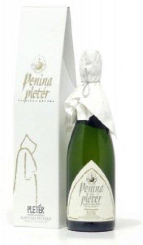 Penina pleter